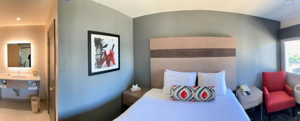 Pacific Motor Inn San Jose Eksteriør billede